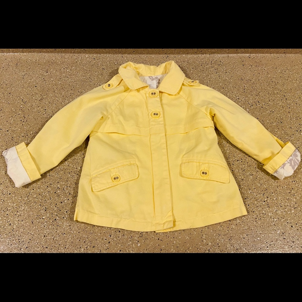Cute yellow jacket